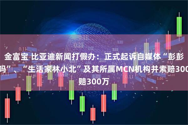 金富宝 比亚迪新闻打假办：正式起诉自媒体“彭彭在吗”、“生活家林小北”及其所属MCN机构并索赔300万
