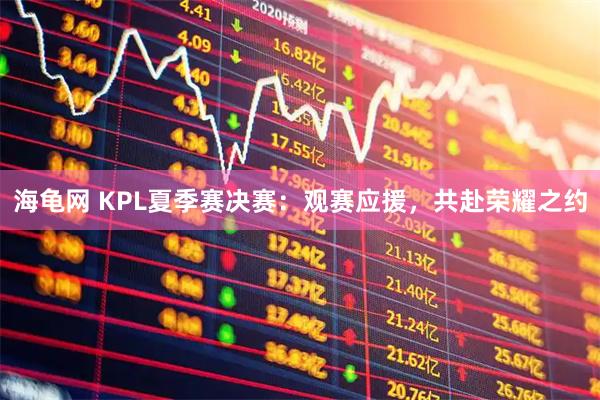 海龟网 KPL夏季赛决赛：观赛应援，共赴荣耀之约